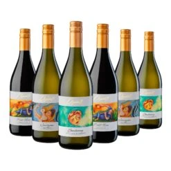DIPINTI Weinpaket 6 Flaschen 12,5 % Vol Je 0,75 Liter
