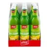 Fruchtstern Zitronensaft 0,75 Liter, 12er Pack